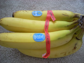 A bunch of bananas.