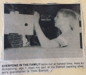 Old newspaper photo showing Ari Armstrong at age 7 working as a box boy in a peach packing facility.