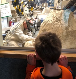 A child watches a preparator expose bones at the Denver Museum of Nature and Science.