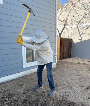 The author taking a pickaxe to his barren yard.
