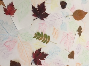 Patterns of fall leaves rubbed onto paper with crayons.