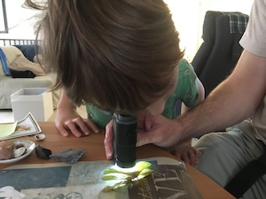 A child peers at a leaf through a small LED microscope.