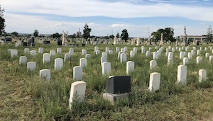 The weed-overgrown cemetery where Silas Soule is buried.